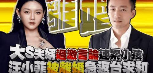 台媒大s最新爆料消息,娱乐圈背后惊人真相曝光