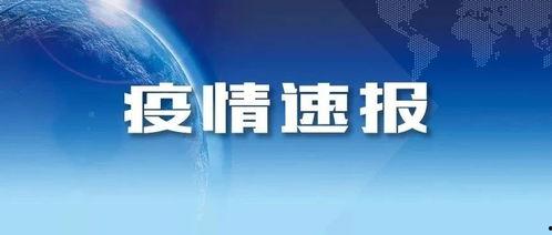 缅甸媒体爆料视频最新,揭秘神秘视频背后的真相