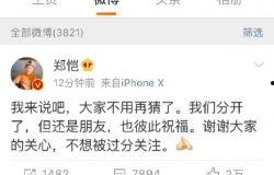 郑恺收入爆料最新消息新闻,最新爆料揭示明星收入真相