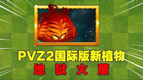 pvz国际版最新爆料,神秘植物与僵尸新篇章即将开启！